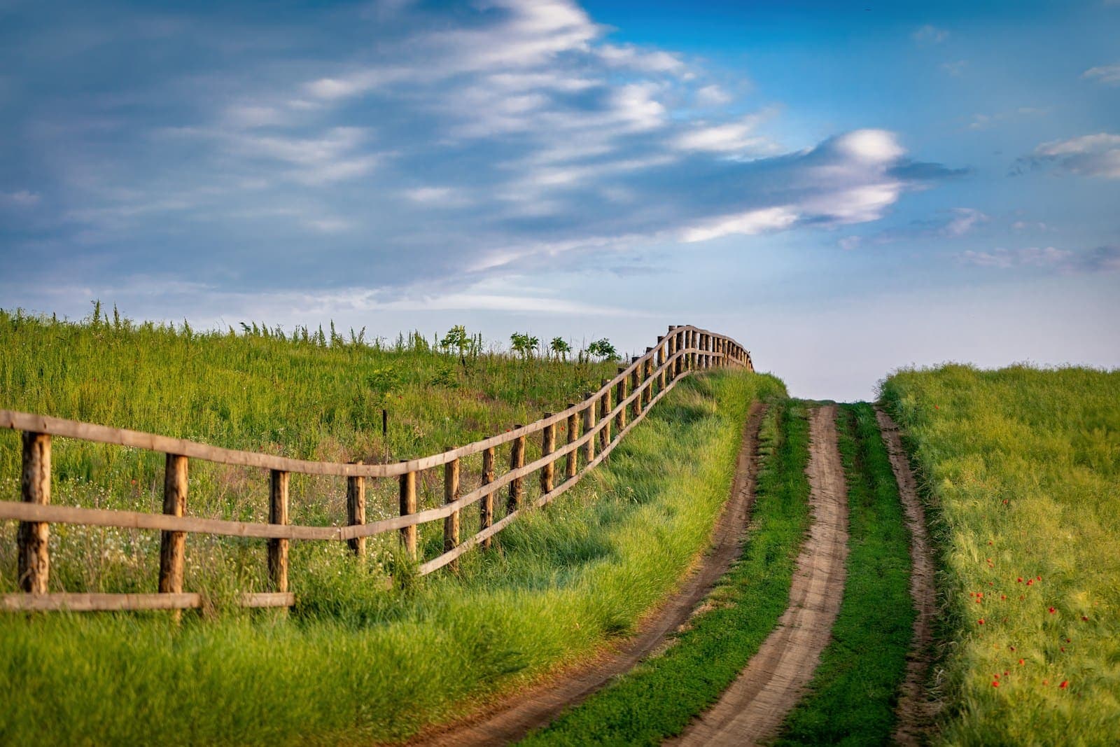 A dirt farm track running uphill beside a wooden rail fence, through green fields under a blue sky